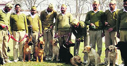 Due To Non-availability Of Funds, Govt Rejects Prison Dog Team Project