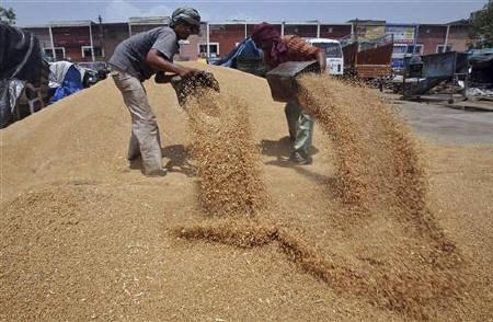 Delayed Lifting Of Wheat Left Farmers Worried